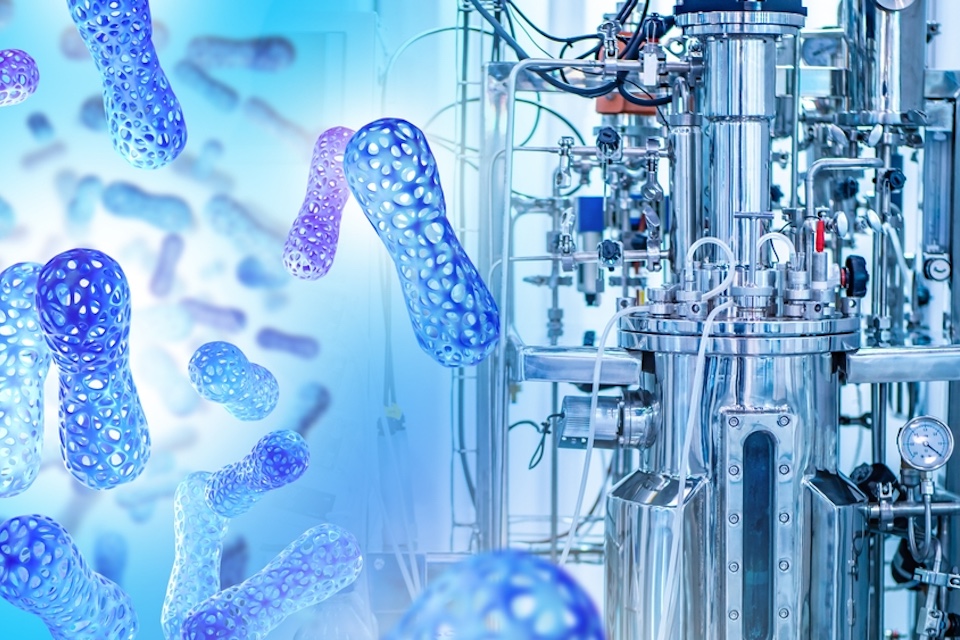 EXPERT’Biome, CDMO By Lallemand, Acquires Bacthera Equipment