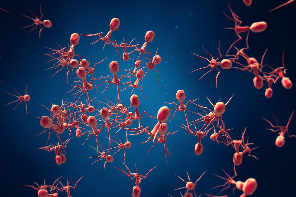 Discovery of hundreds of new human gut viruses provides a new approach to studying the gut microbiome