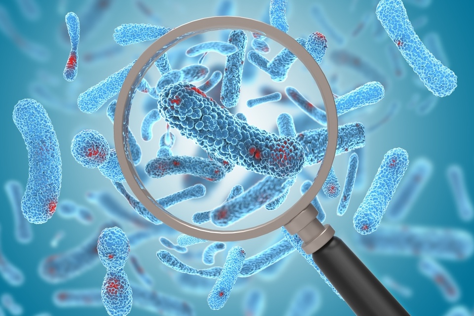 Scientists develop a way to track donor bacteria after fecal microbiota transplants