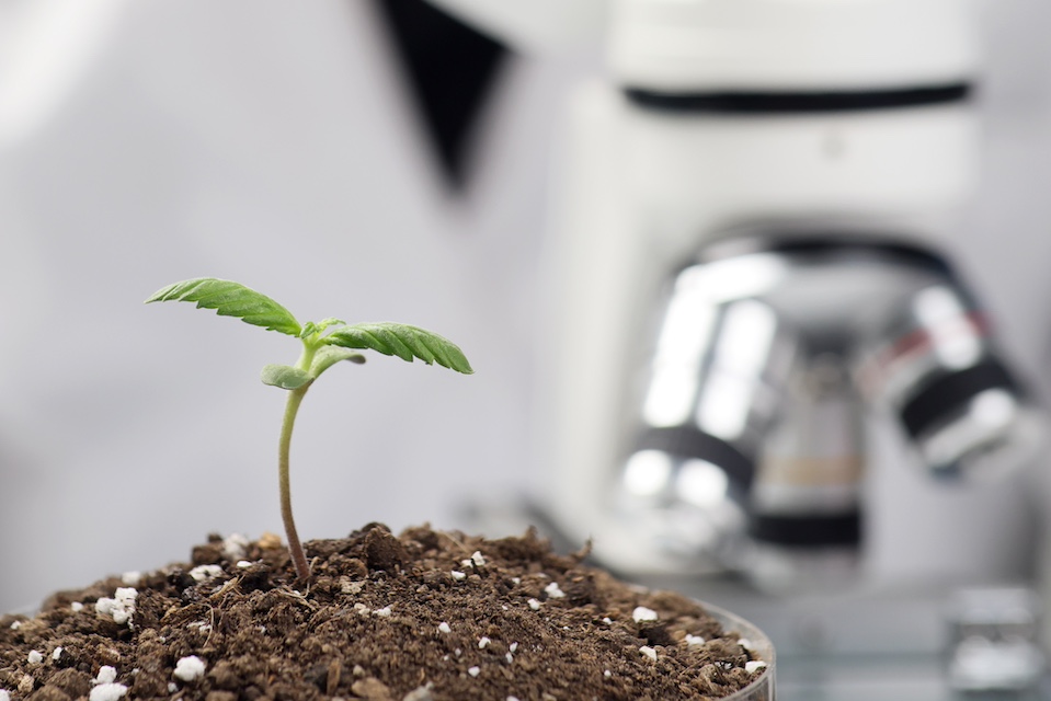 Ascribe Bio Closes $12 Million Series A Financing to Advance Next-Generation Natural Crop Protection