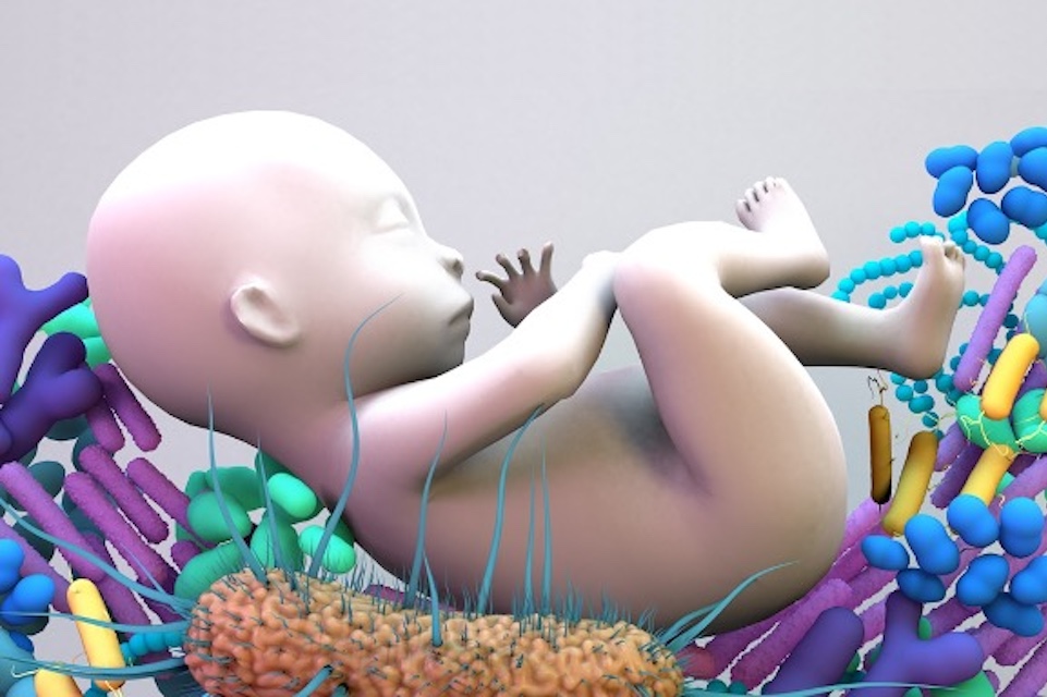 Siolta Therapeutics Reports Positive Phase 2 Results from the ADORED Study