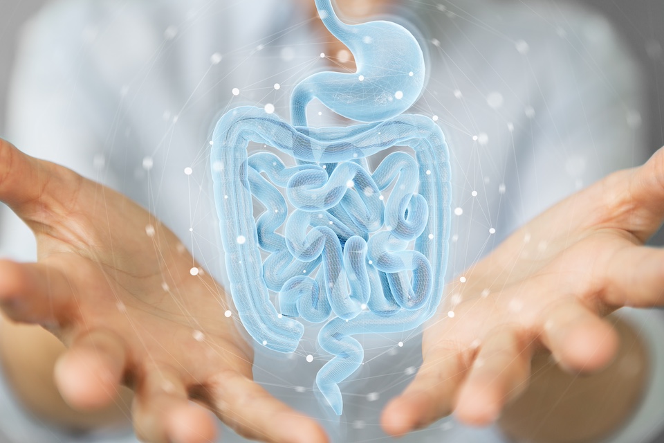 Global scientific paper establishes first consensus definition of gut health