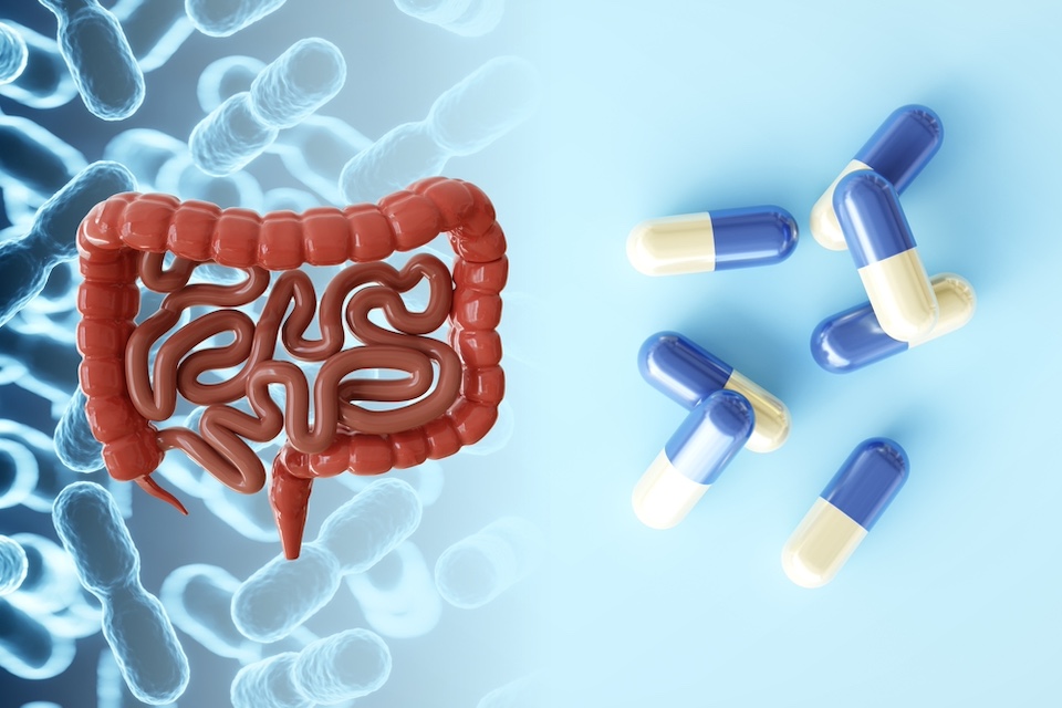 How Oral Drugs and Nutrition impacts Microbiome: Realistic Dynamic In Vitro Microbiome Modeling