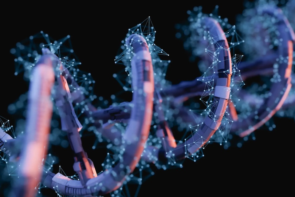 Cmbio: Advancing Microbiome Innovation Through Digital Biology