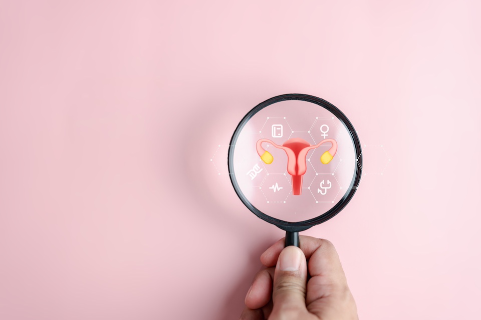 Women’s Health Innovation Is Not Failing – The System Around It Is