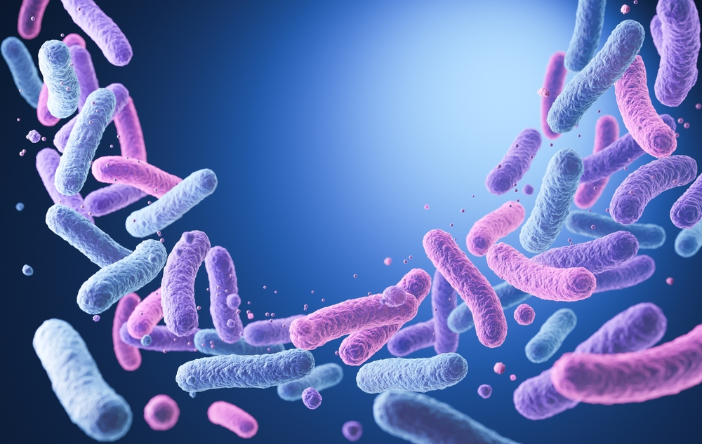 Lactic Acid’s Untapped Potential to Optimise the Vaginal Microbiota and Mucosal Environment