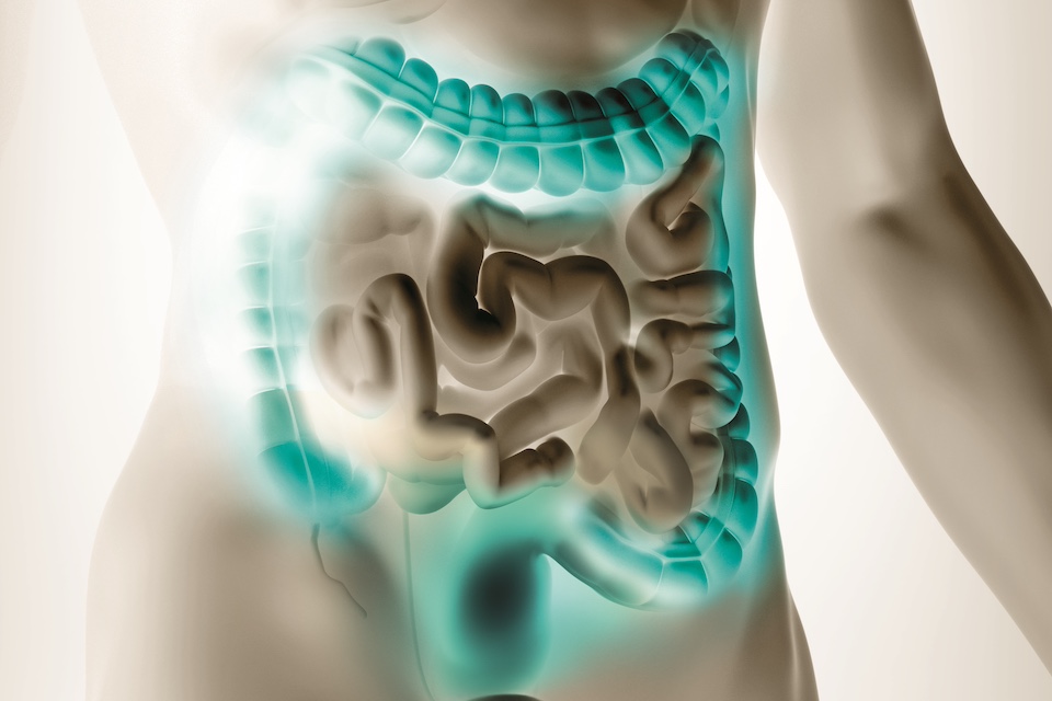 Beyond the small intestine: ileo colonic delivery as the next frontier for oral therapeutics
