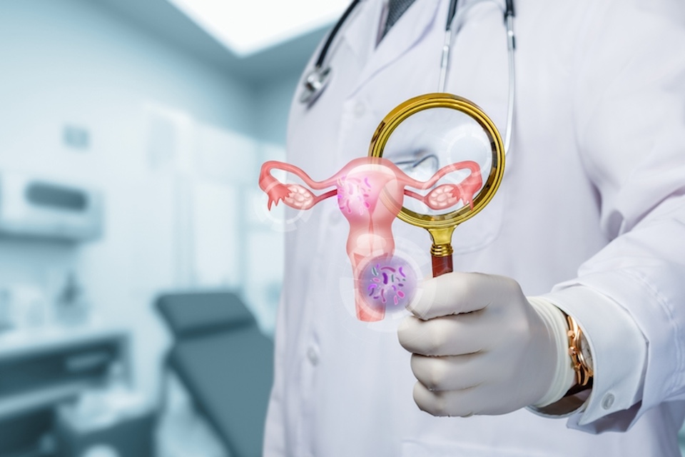 Researchers Discover that Vaginal Bacteria Don’t Always Behave the Same Way