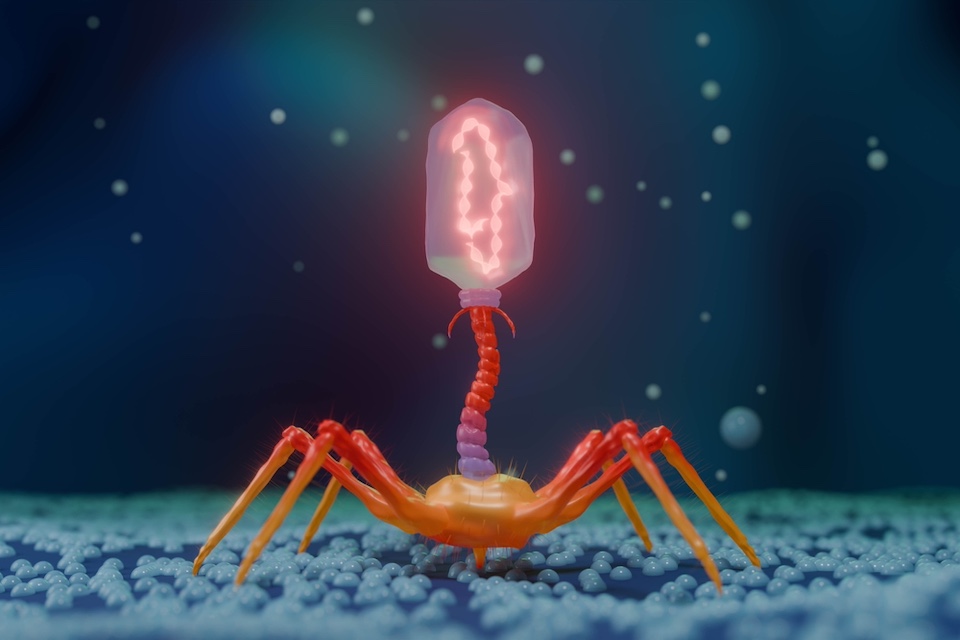Stanford's AI Designed Bacteriophages: Ushering in the Next Phase in IP Strategy for Phage Companies?