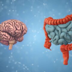 New Clinical Study Aims to Find Out if FMT capsules could help better manage anorexia