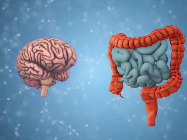 New Clinical Study Aims to Find Out if FMT capsules could help better manage anorexia
